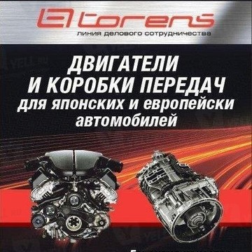 Торенс38 фото 1
