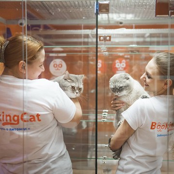 Гостиница для животных BookingCat на Бауманской фото 3
