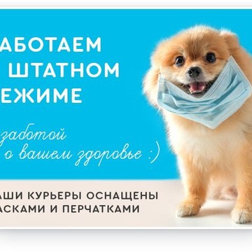 Зоомагазин Дом Корма фото 1