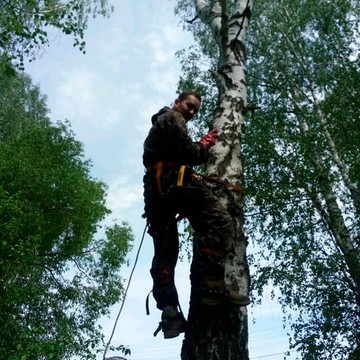 Арбористическая компания Спил Деревьев фото 2