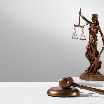 Адвокат Козина Е. А. фото 2