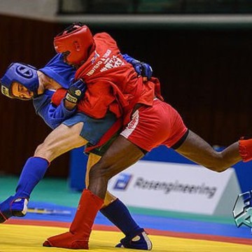 Клуб единоборств Витязь Pro на Лесной улице, 16 в Королёве фото 3