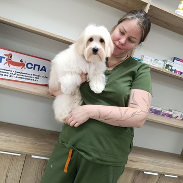 Вет Спа фото 3