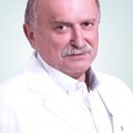 Фотография специалиста Рапопорт Лев Яковлевич