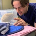 Фотография специалиста Егоров Илья Валерьевич