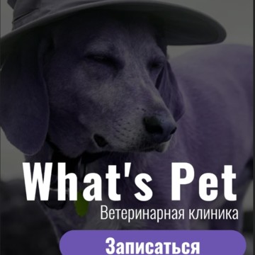 What&#039;s Pet фото 3