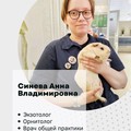 Фотография специалиста Синева Анна Владимировна