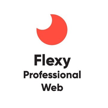 Веб-студия Flexy Professional Web фото 1