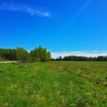 КП Лесной берег фото 3