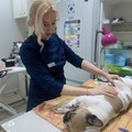 Фотография специалиста Третьякова Вероника Владимировна