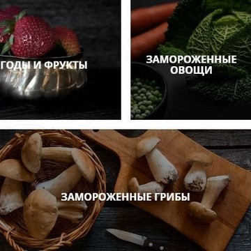 Компания Импайс на улице Профессора Попова фото 1