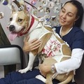 Фотография специалиста Милютина Людмила Михайловна