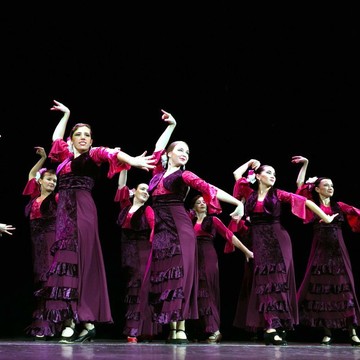 Школа танца и театр фламенко &quot;Fabrica de Tabaco&quot; Натальи Зайковой на улице Комсомола фото 2