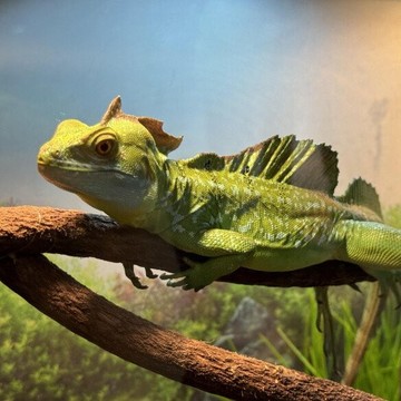 Зоопарк рептилий Другой мир фото 3