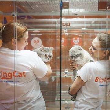 Гостиница для животных BookingCat в Остаповском проезде фото 2