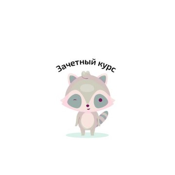 Зачетный курс фото 1