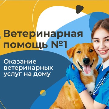 Выездная ветеринарная служба Docktorzoo в Мытищах фото 1