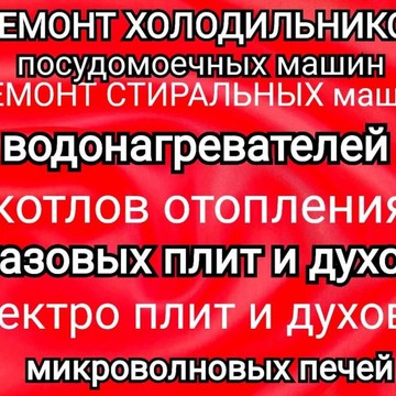 Ремонт водонагревателей газовых и электроплит Луга фото 1