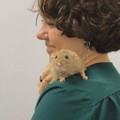 Фотография специалиста Холкина Юлиана Николаевна