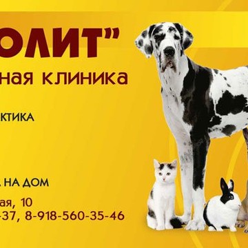 Ветеринарная клиника Айболит в Ростове-на-Дону фото 1