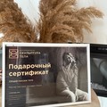 Фотография специалиста Колодко Ольга Андреевна