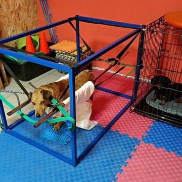 Ветеринарный центр Крис фото 1