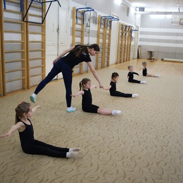 Школа художественной гимнастики GymBalance на Дмитровском шоссе фото 2