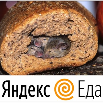 Яндекс.Еда, сервис фото 3