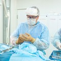 Фотография специалиста Шпичка Алексей Васильевич