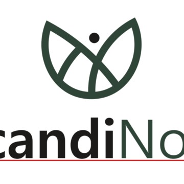 ScandiNord фото 1