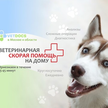 Ветеринарная клиника Vetdocs на улице Академика Грушина, 4 в Химках фото 1