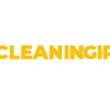 CLEANINGIR фото 1