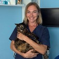 Фотография специалиста Чарурина Анастасия Олеговна