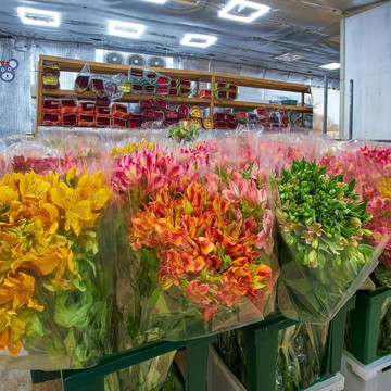 Компания Цветы со склада фото 3