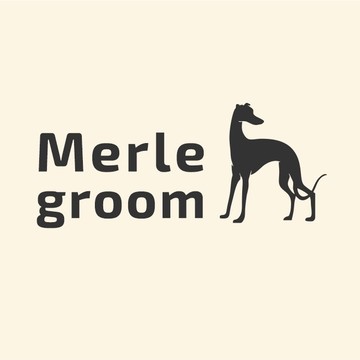 Merle groomГруминг салон фото 1