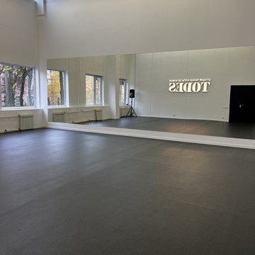 Школа танцев Todes Владимир фото 2