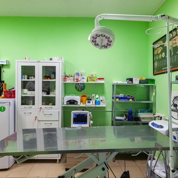 Ветеринарная клиника ЭленВет фото 3