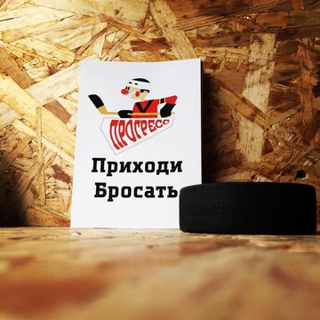 Хоккейный центр Прогресс фото 1