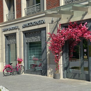 Центр красоты Аристократка на Аптекарском проспекте фото 1