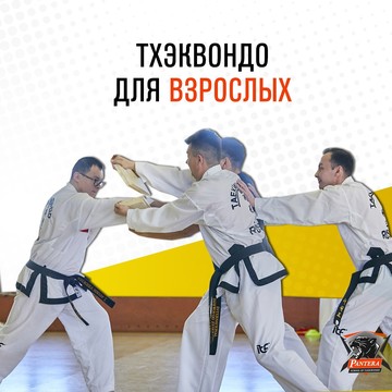 Школа тхэквондо Пантера фото 3