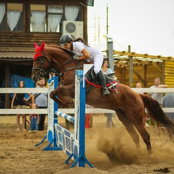 КСК &quot;Реверанс&quot; фото 2