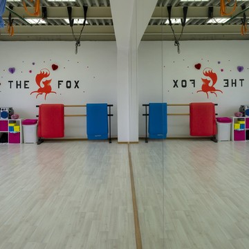 Школа танцев и спорта THE FOX фото 2