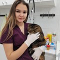 Фотография специалиста Салофильева Алина Сергеевна