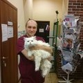 Фотография специалиста Расстригин Алексей Евгеньевич