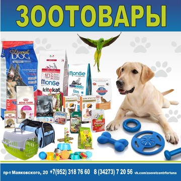 Ветеринарная клиника Зооветцентр на проспекте Маяковского фото 3