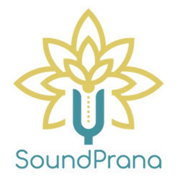 SoundPrana academy фото 1