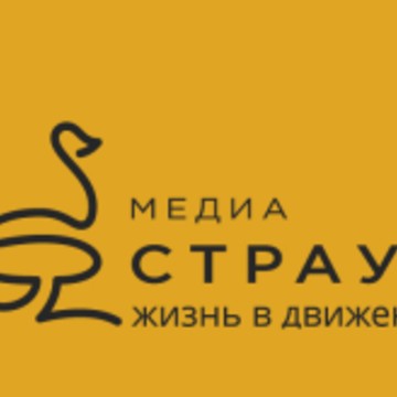 Медиабаинговое агентство МедиаСтраус фото 1