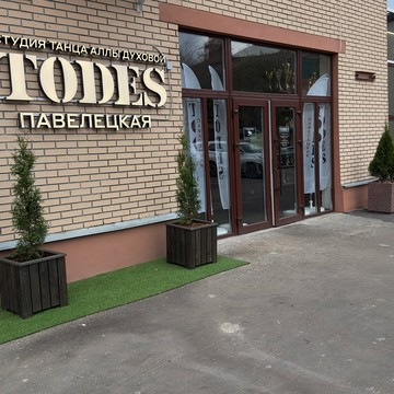 Школа танцев TODES Павелецкая фото 3