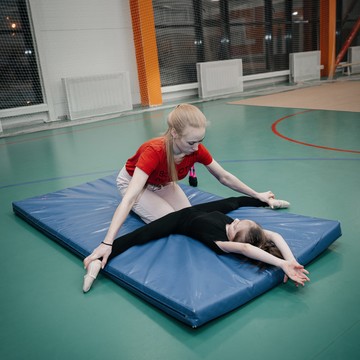 Школа художественной гимнастики Авис-спорт на улице Кривоусова фото 1