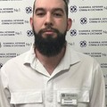 Фотография специалиста Магомаев Адамант Омарович